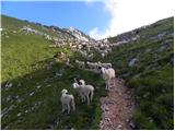 Planina Blato - Mala Tičarica